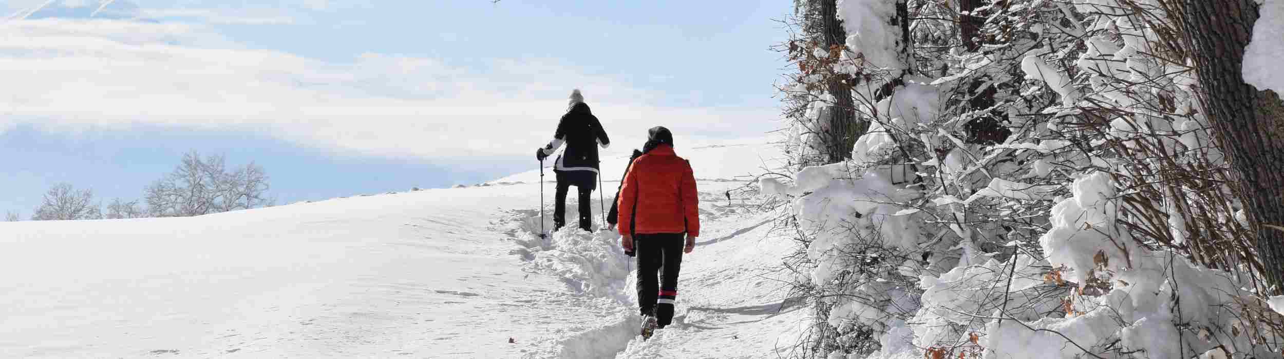 Wanderweg Winter Don Bosco Schwestern Baumkirchen