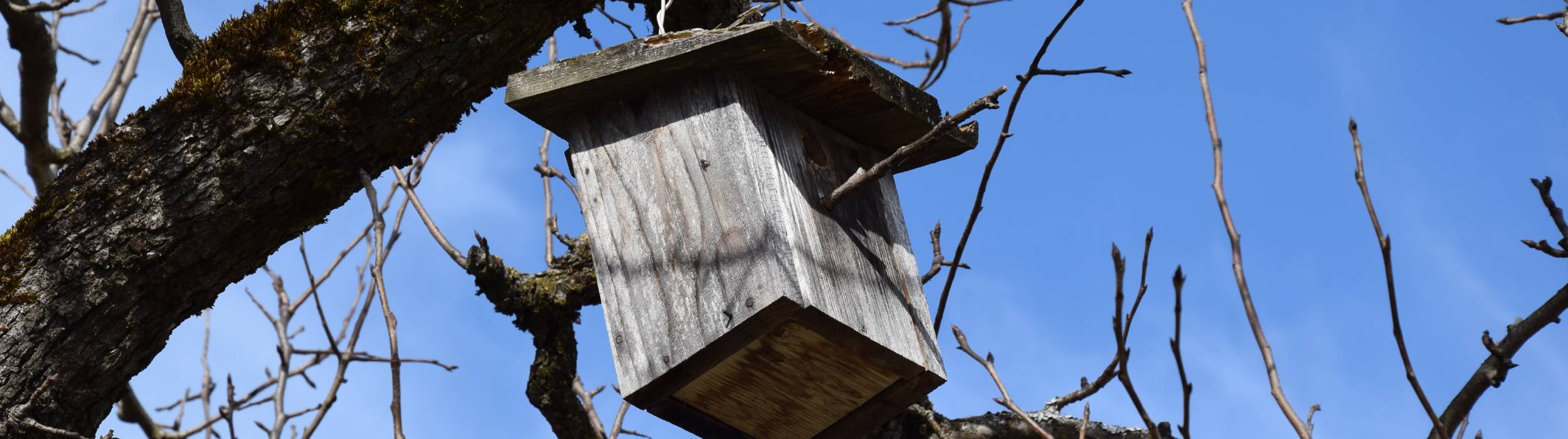 Vogelhaus im Garten von Schloss Wohlgemutsheim